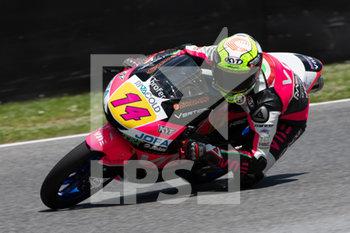2019-05-31 - Tony Arbolino during Friday free practices in Mugello (Moto3) - MOTO3 - FRIDAY FREE PRACTICES - MOTOGP - MOTORS